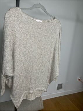 Cherish Shimmery Taupe Metallic Knit Top